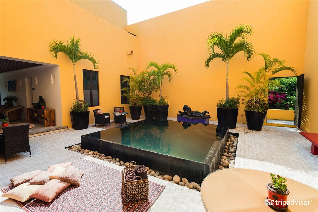 Villa Azalea Inn & Organic Farm JALISCO Kültér fotó