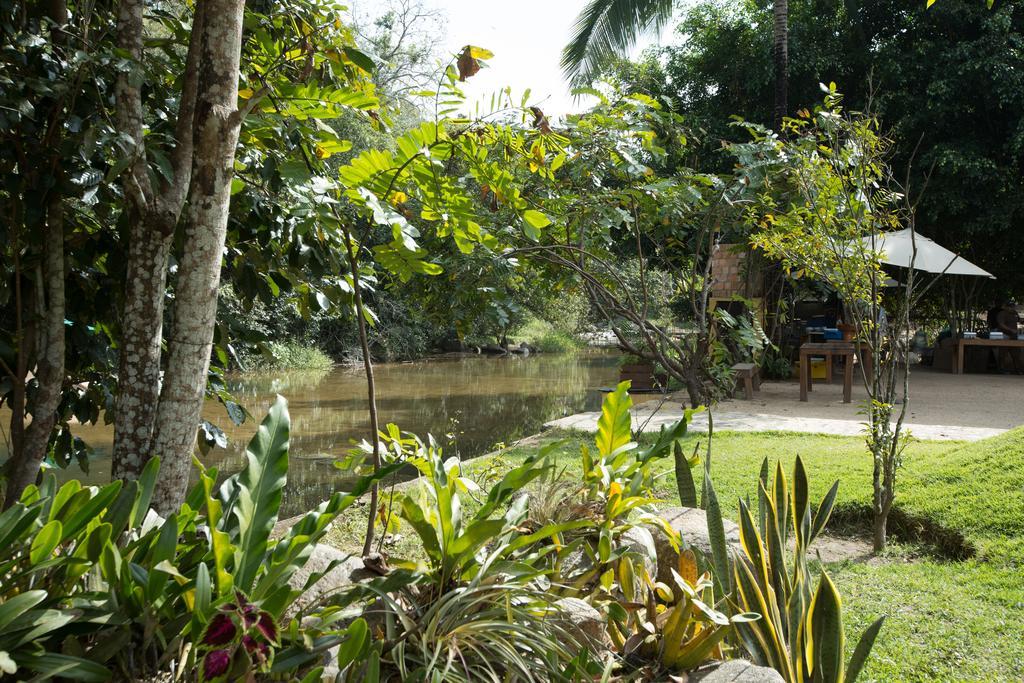 Villa Azalea Inn & Organic Farm JALISCO Kültér fotó