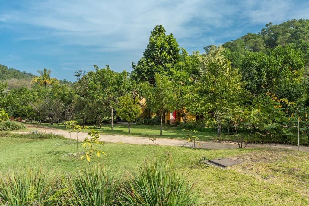 Villa Azalea Inn & Organic Farm JALISCO Kültér fotó