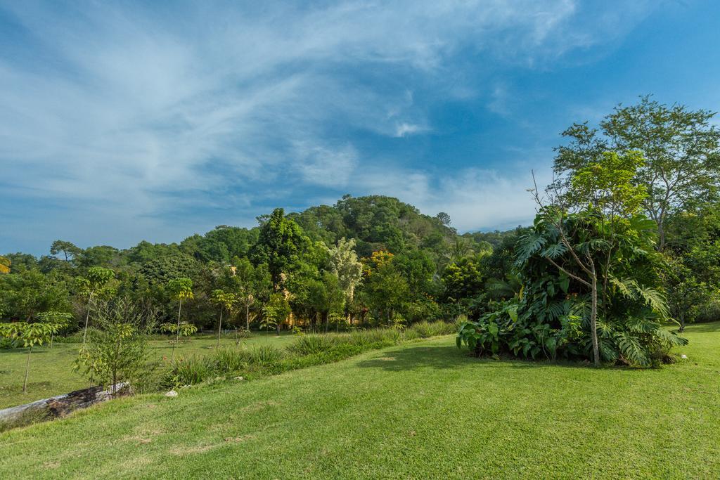 Villa Azalea Inn & Organic Farm JALISCO Kültér fotó