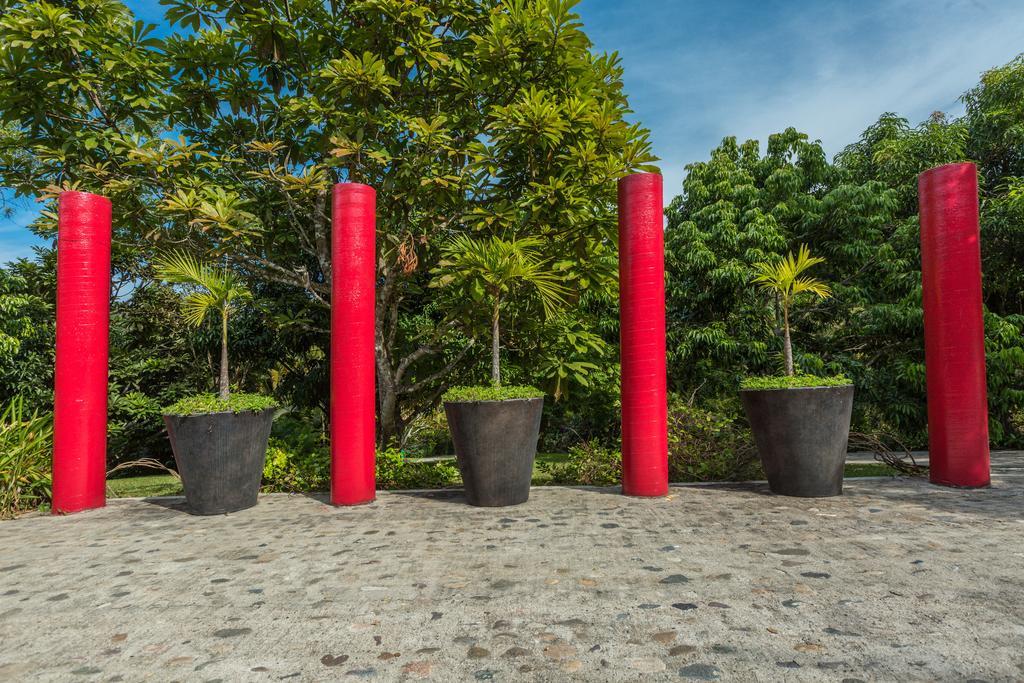 Villa Azalea Inn & Organic Farm JALISCO Kültér fotó