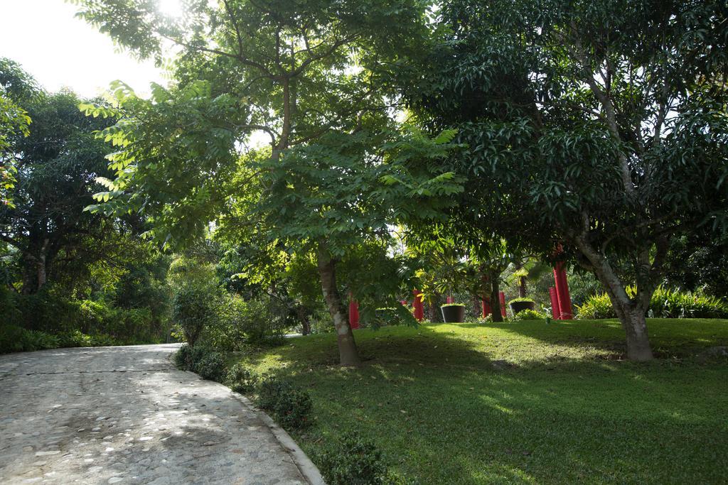 Villa Azalea Inn & Organic Farm JALISCO Kültér fotó