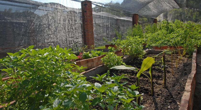 Villa Azalea Inn & Organic Farm JALISCO Kültér fotó