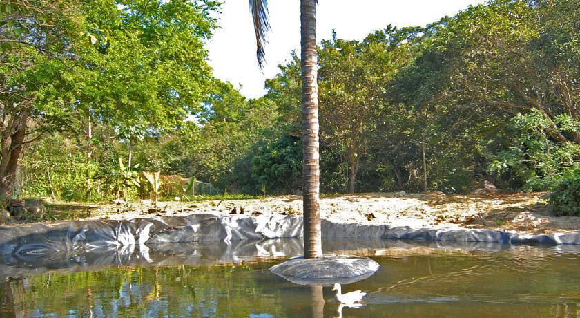 Villa Azalea Inn & Organic Farm JALISCO Kültér fotó